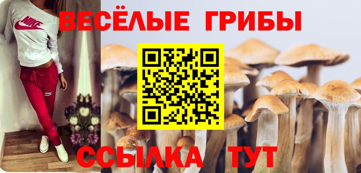 Галлюциногенные грибы прущие грибы  Галлюциногенные грибы MAGIC MUSHROOMS  Сухой Лог  Вход с VPN 